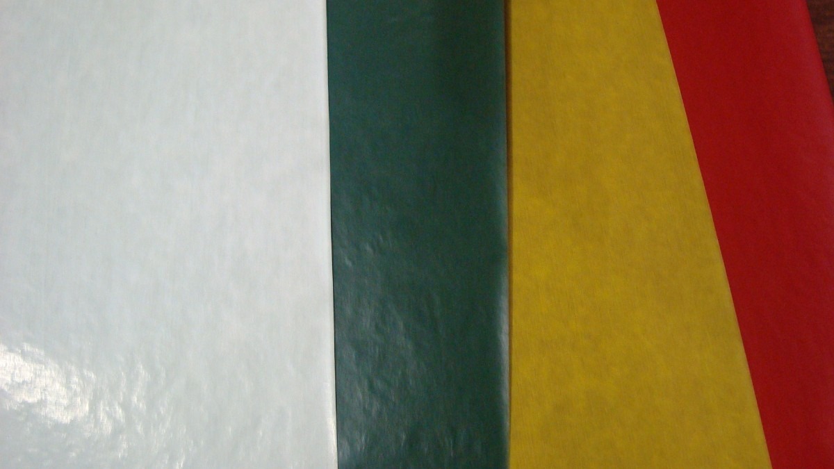 CARBONICO BORDADOS MODISTA BLANCO   *1