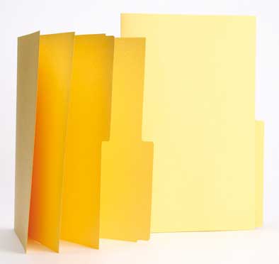 CARPETA CARTULINA 2 POSICIONES 240 gr.