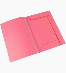 CARPETA CARTUL.OFICIO 3.SOLAPA - F-55 -.ROSA 