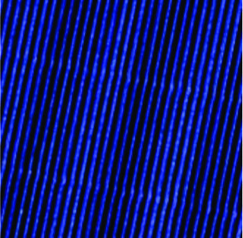 CARTON MICRO-CORRUGADO 50*70 AZUL    -10