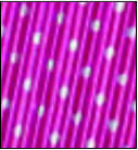 CARTON CORRUGADITO 22x34 - FUCSIA LUNARES