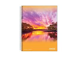 CUAD.ESP.TF.AVON 16x21 x84 H. == CHICO