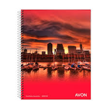 CUAD.ESP.TF.AVON 16x21 x46 H.== CHICO