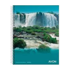 CUAD.ESP.TF.AVON 16x21 x46 H.## CHICO