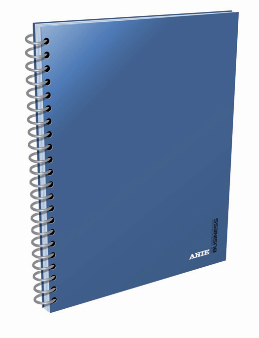 CUAD.C/E.ARTE BUSINESS A4.29 80H.=