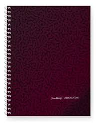 CUAD.CE.TD.A4 EXECUTIVE 84H ## BORDO