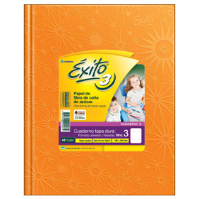 CUAD.EXITO.TD.N3 ( 19x24 ) x 48 ARAÑA NARANJA ==
