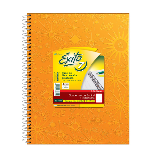 CUAD.EXITO.TD.N7 (21x27) ARANA 60.== NARANJA