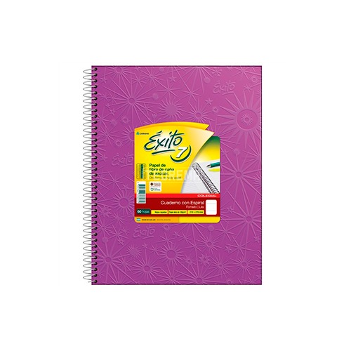CUAD.EXITO.TD.N7 (21x27) ARANA 60.== LILA