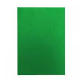 TAPA PPP OFICIO VERDE