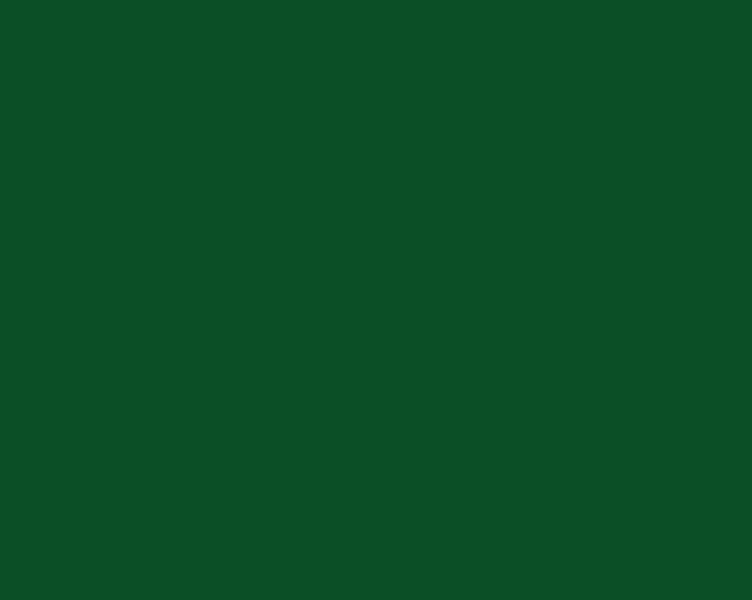 GOMA EVA LISA 40x60cm.x2mm. - VERDE OSCURO