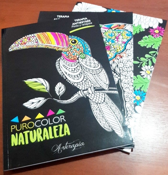 LIBRO PINTAR PURO COLOR ED.GUADAL