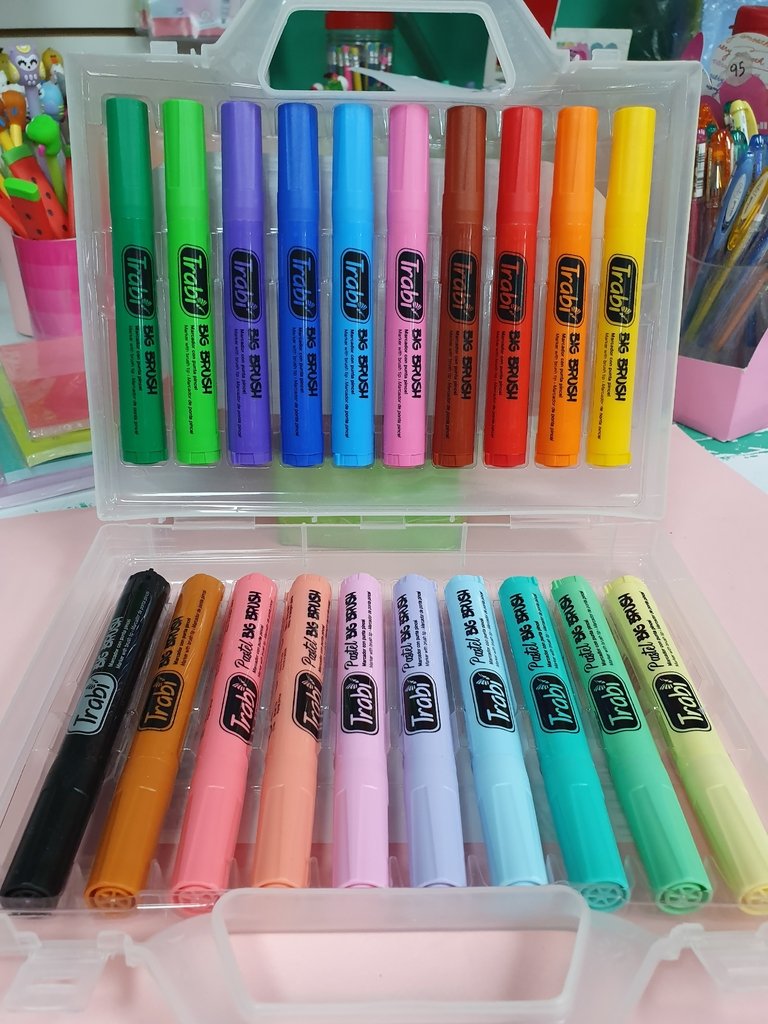 MARCADOR TRABI BIG BRUSH VALIJA  x 20 colores
