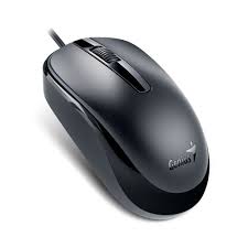 MOUSE GENIUS DX-120 USB NEGRO