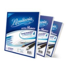 REP. RIVADAVIA x 48 H. ## BANDA PROTECTORA