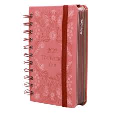 AGENDA 2027 MOOVING 10x15 ESP DxP STORYBOOK