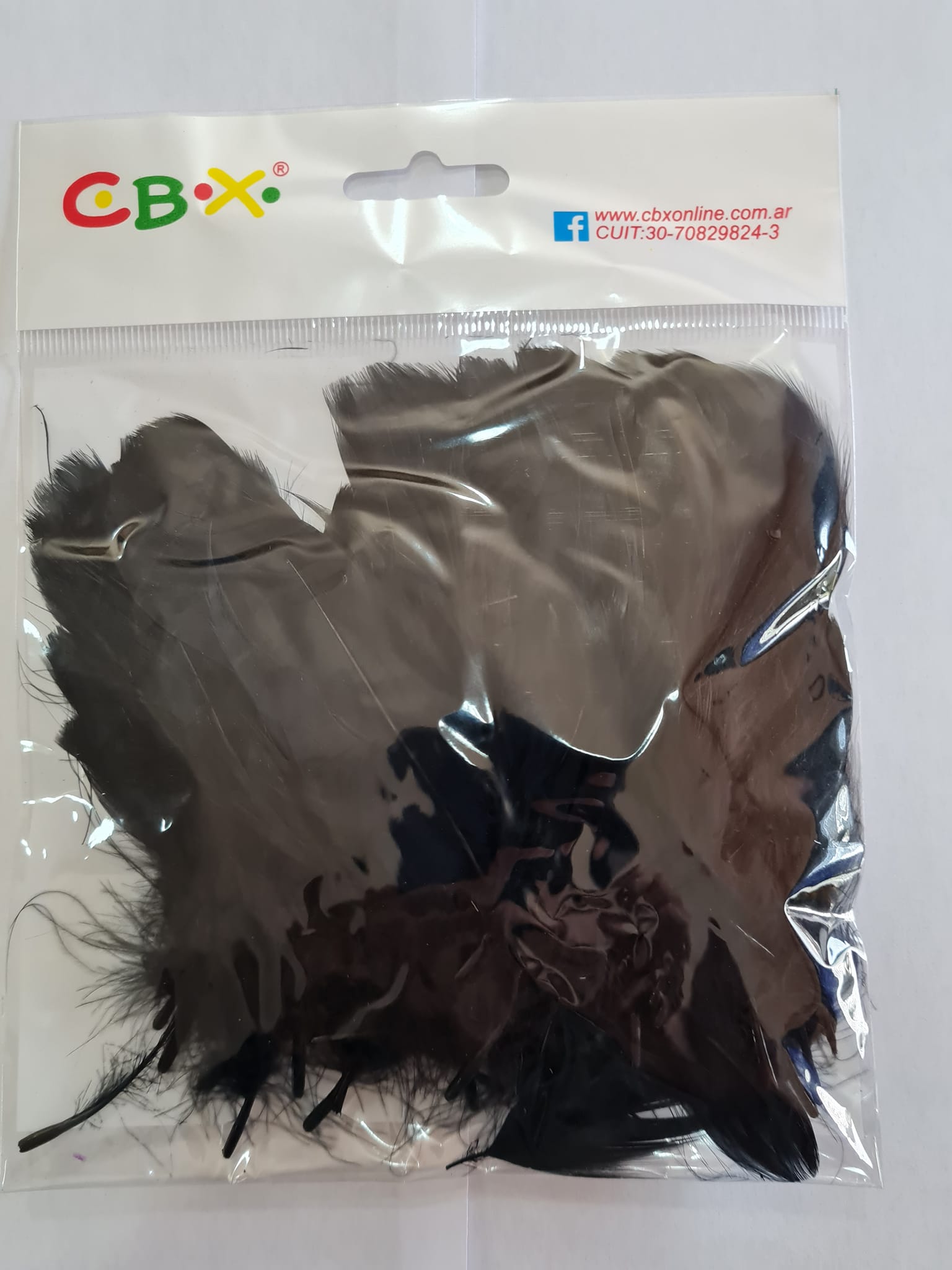 PLUMAS ( ART.100)  x BOLSA - NEGRO