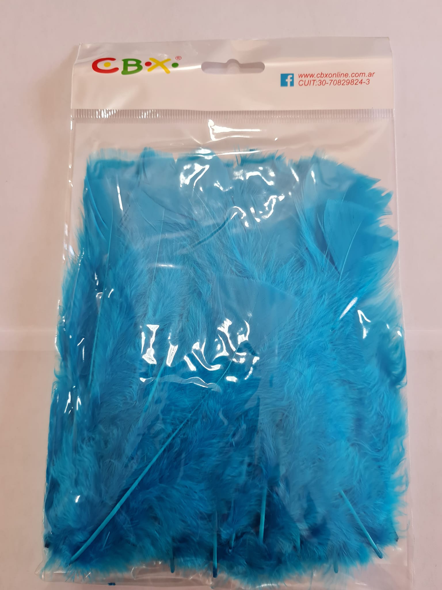PLUMAS ( ART.156)  x BOLSA - TURQUESA