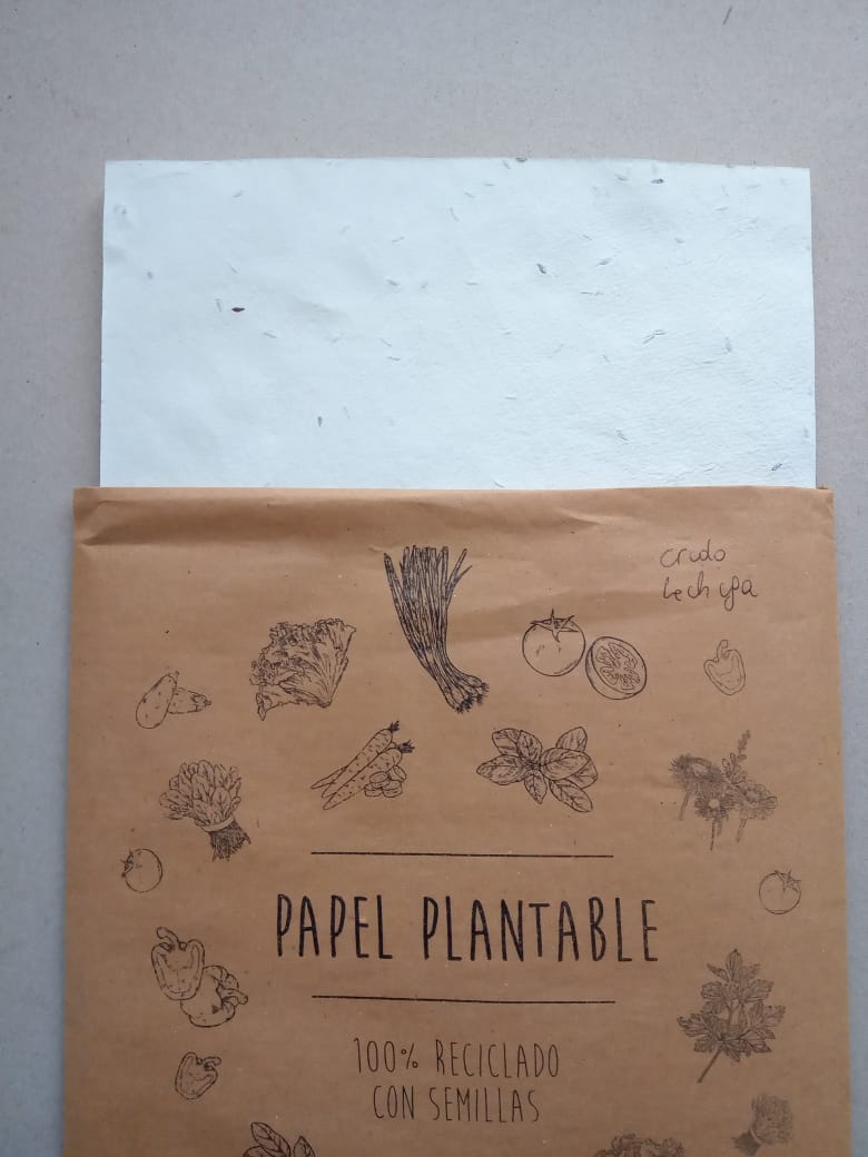 HOJA A4 PLANTABLE x 1u CRUDO = LECHUGA
