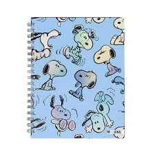 SNOOPY CUAD.ESPIRAL TD.16x21 80=