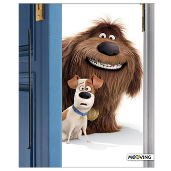 PETS CARPETA N.3 C.C.
