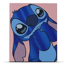STICH CUADERNO TD.19x24 COSIDO